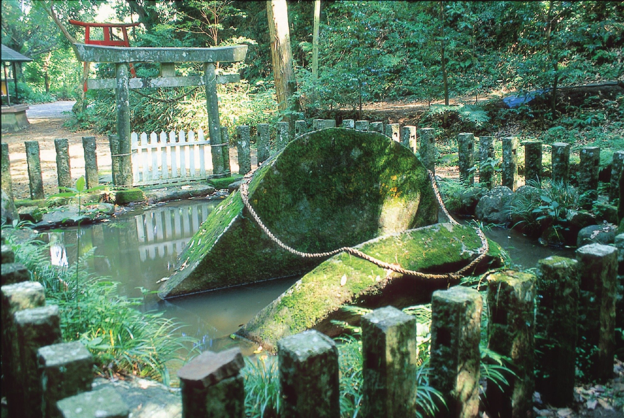 ⛩️ 동쪽 안개섬 신사(쓰마키리시마 진자) 이미지 5